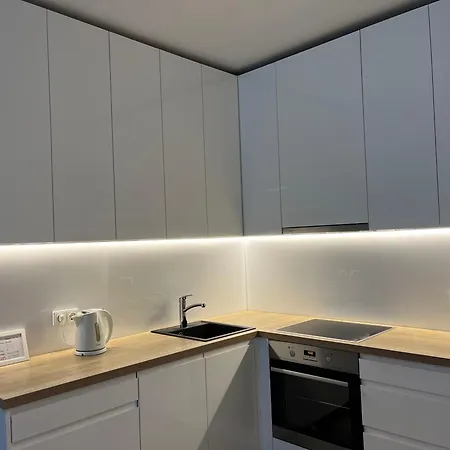 Apartment Near Ozas Vilnius